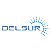 DelSur